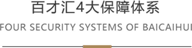 百才汇